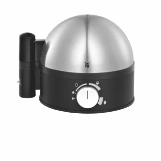 تخم مرغ پز دبلیو ام اف